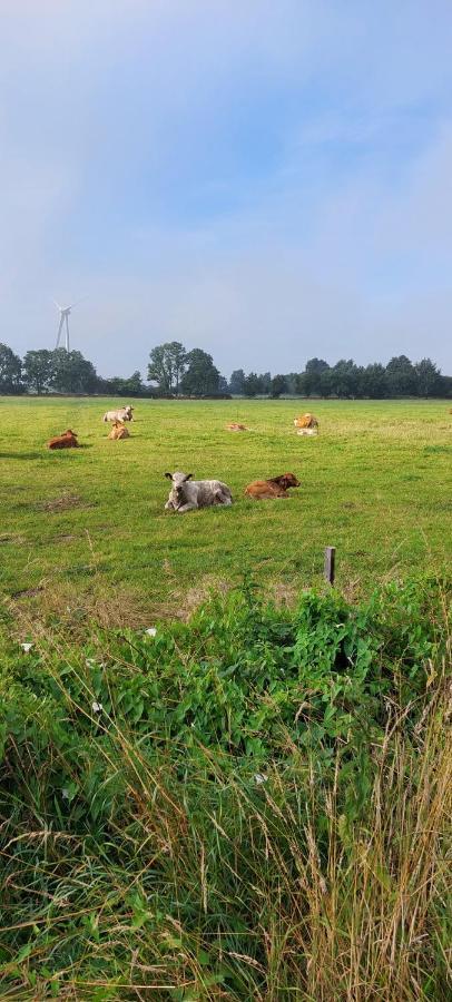 Ferienwohnung Matzibarg Ahrenviol Exteriér fotografie